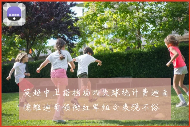 英超中卫搭档场均失球统计费迪南德维迪奇领衔红军组合表现不俗