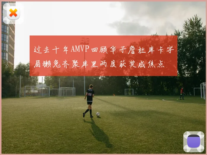 过去十年AMVP回顾华子詹杜库卡字眉獭兔齐聚库里两度获奖成焦点